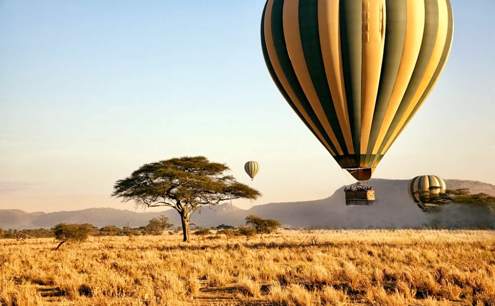 
Best of Tanzania Safaris 10 Days