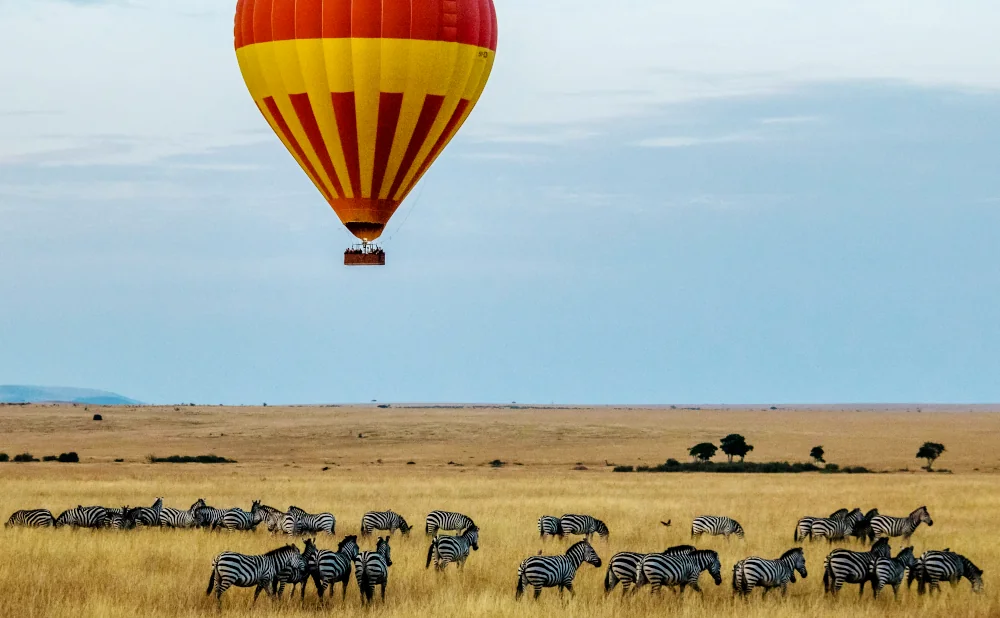 
Why You Need to Visit the Serengeti